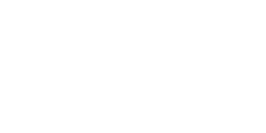Rocket Fizz Logo